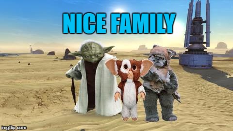 NICE FAMILY | made w/ Imgflip meme maker