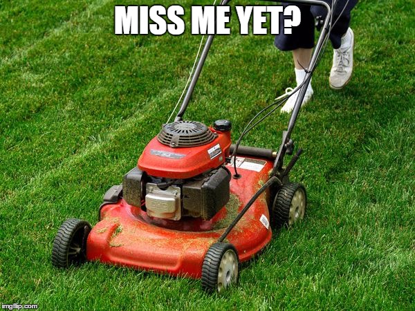 Sick of Winter yet? | MISS ME YET? | image tagged in winter,yard work,summer | made w/ Imgflip meme maker
