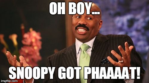 Steve Harvey Meme | OH BOY... SNOOPY GOT PHAAAAT! | image tagged in memes,steve harvey | made w/ Imgflip meme maker