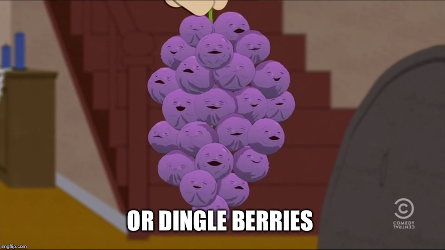 Member Berries Meme | OR DINGLE BERRIES | image tagged in memes,member berries | made w/ Imgflip meme maker