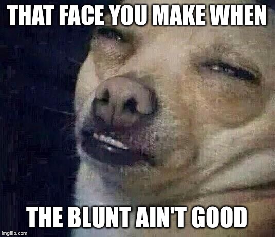 Too Dank |  THAT FACE YOU MAKE WHEN; THE BLUNT AIN'T GOOD | image tagged in too dank | made w/ Imgflip meme maker