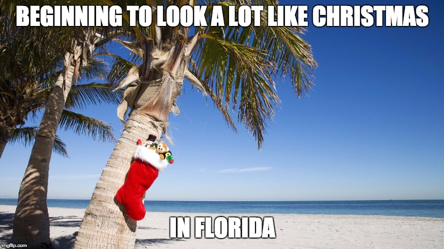 Beginning to look a lot like Christmas. In Florida | BEGINNING TO LOOK A LOT LIKE CHRISTMAS; IN FLORIDA | image tagged in florida,meanwhile in florida,christmas | made w/ Imgflip meme maker
