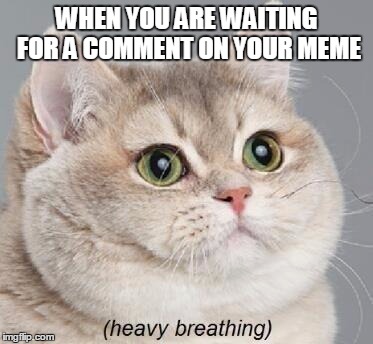 Heavy Breathing Cat | WHEN YOU ARE WAITING FOR A COMMENT ON YOUR MEME | image tagged in memes,heavy breathing cat | made w/ Imgflip meme maker