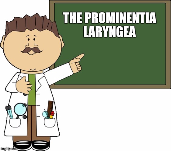 THE PROMINENTIA LARYNGEA | made w/ Imgflip meme maker