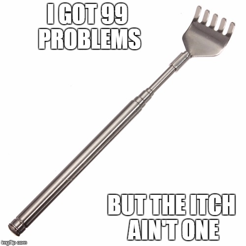 I GOT 99 PROBLEMS; BUT THE ITCH AIN'T ONE | image tagged in back scratcher | made w/ Imgflip meme maker