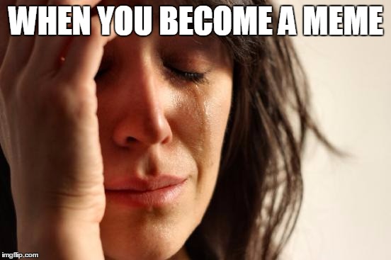 First World Problems | WHEN YOU BECOME A MEME | image tagged in memes,first world problems | made w/ Imgflip meme maker