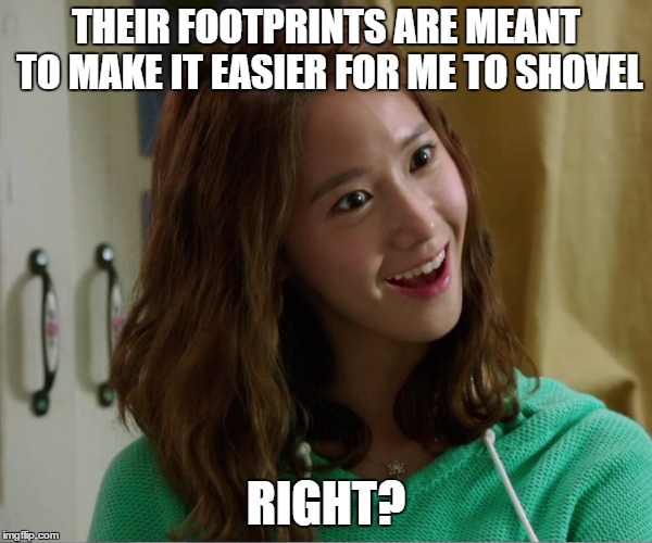 Yoo Don't Say | THEIR FOOTPRINTS ARE MEANT TO MAKE IT EASIER FOR ME TO SHOVEL RIGHT? | image tagged in yoo don't say | made w/ Imgflip meme maker