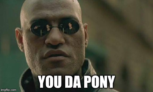 Matrix Morpheus Meme | YOU DA PONY | image tagged in memes,matrix morpheus | made w/ Imgflip meme maker