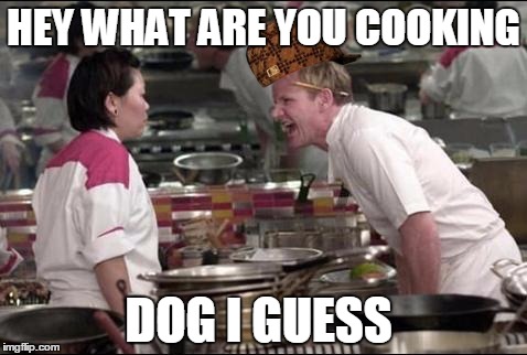 Gordon Ramsay | HEY WHAT ARE YOU COOKING; DOG I GUESS | image tagged in gordon ramsay,scumbag | made w/ Imgflip meme maker