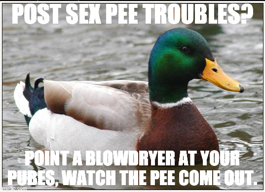 Actual Advice Mallard Meme | POST SEX PEE TROUBLES? POINT A BLOWDRYER AT YOUR PUBES, WATCH THE PEE COME OUT. | image tagged in memes,actual advice mallard | made w/ Imgflip meme maker