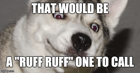 THAT WOULD BE A "RUFF RUFF" ONE TO CALL | made w/ Imgflip meme maker