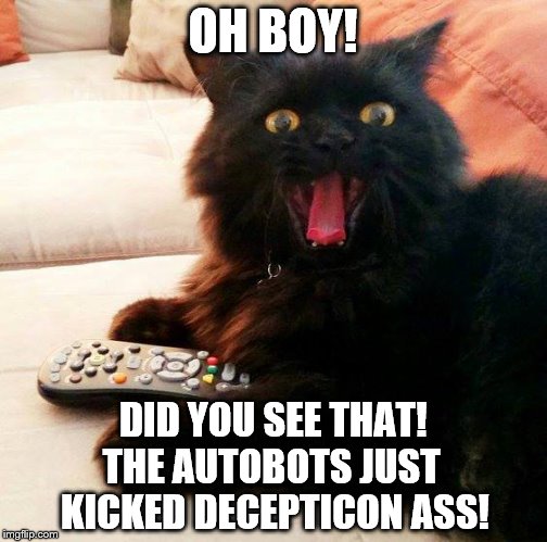 OH BOY! Cat always roots for the Autobots! | OH BOY! DID YOU SEE THAT! THE AUTOBOTS JUST KICKED DECEPTICON ASS! | image tagged in oh boy cat,transformers,memes,good vs evil,autobots,cats | made w/ Imgflip meme maker