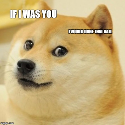 Doge | IF I WAS YOU; I WOULD DOGE THAT BALL | image tagged in memes,doge | made w/ Imgflip meme maker