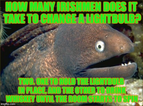 Bad Joke Eel Meme | HOW MANY IRISHMEN DOES IT TAKE TO CHANGE A LIGHTBULB? TWO. ONE TO HOLD THE LIGHTBULB IN PLACE, AND THE OTHER TO DRINK WHISKEY UNTIL THE ROOM STARTS TO SPIN | image tagged in memes,bad joke eel | made w/ Imgflip meme maker