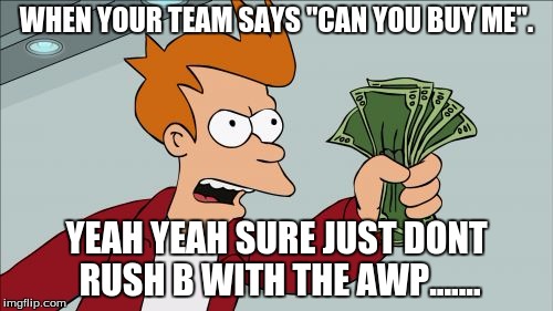 Shut Up And Take My Money Fry | WHEN YOUR TEAM SAYS ''CAN YOU BUY ME''. YEAH YEAH SURE JUST DONT RUSH B WITH THE AWP....... | image tagged in memes,shut up and take my money fry | made w/ Imgflip meme maker