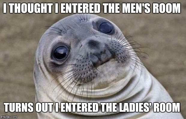 Awkward Moment Sealion | I THOUGHT I ENTERED THE MEN'S ROOM; TURNS OUT I ENTERED THE LADIES' ROOM | image tagged in memes,awkward moment sealion | made w/ Imgflip meme maker