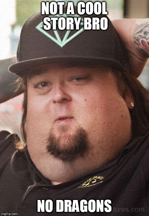 chumlee | NOT A COOL STORY BRO NO DRAGONS | image tagged in chumlee | made w/ Imgflip meme maker