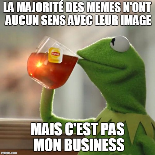 But That's None Of My Business Meme | LA MAJORITÉ DES MEMES N'ONT AUCUN SENS AVEC LEUR IMAGE; MAIS C'EST PAS MON BUSINESS | image tagged in memes,but thats none of my business,kermit the frog | made w/ Imgflip meme maker