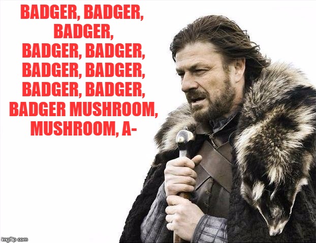 Brace Yourselves X is Coming | BADGER, BADGER, BADGER, BADGER, BADGER, BADGER, BADGER, BADGER, BADGER, BADGER
MUSHROOM, MUSHROOM, A- | image tagged in memes,brace yourselves x is coming | made w/ Imgflip meme maker
