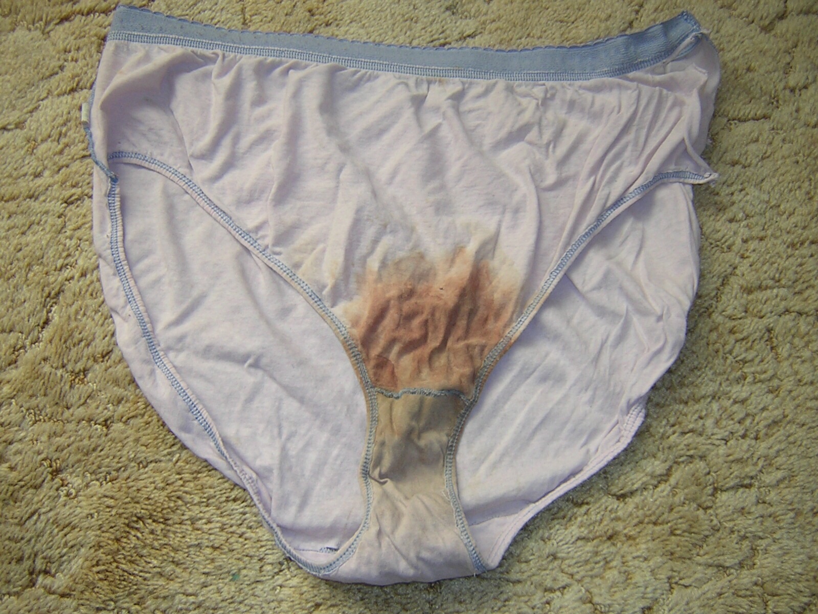 Period stained panties Blank Template - Imgflip