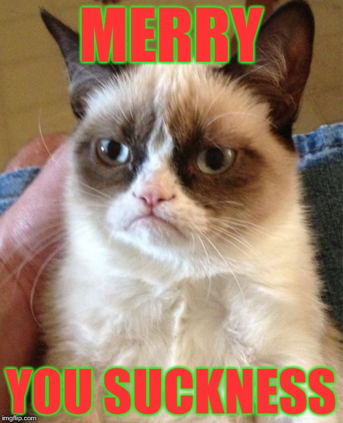 Grumpy Cat | MERRY; YOU SUCKNESS | image tagged in memes,grumpy cat | made w/ Imgflip meme maker