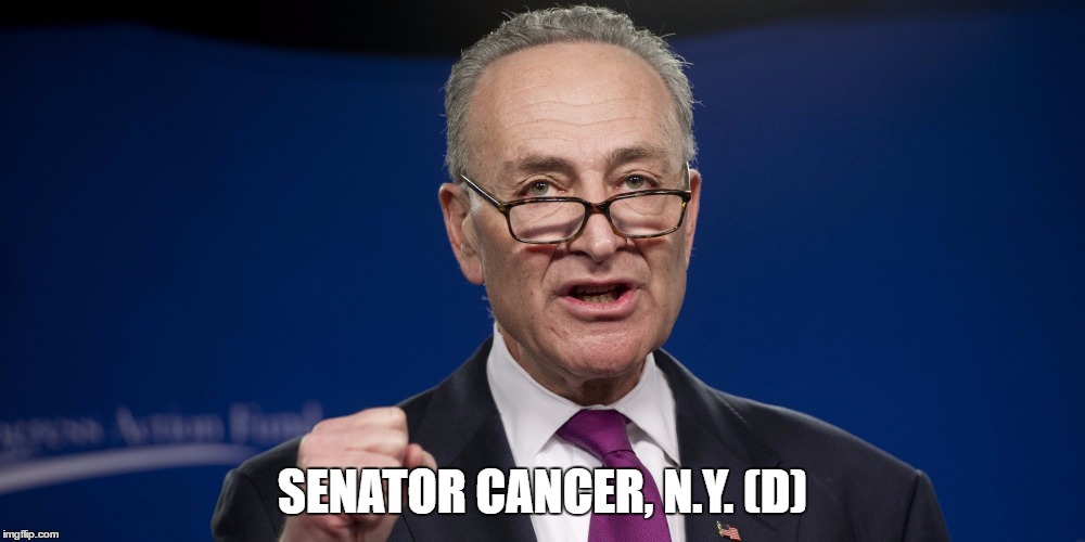 chuck Schumer | SENATOR CANCER, N.Y. (D) | image tagged in chuck schumer | made w/ Imgflip meme maker