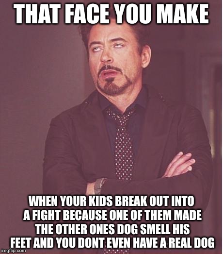 Face You Make Robert Downey Jr | THAT FACE YOU MAKE; WHEN YOUR KIDS BREAK OUT INTO A FIGHT BECAUSE ONE OF THEM MADE THE OTHER ONES DOG SMELL HIS FEET AND YOU DONT EVEN HAVE A REAL DOG | image tagged in memes,face you make robert downey jr | made w/ Imgflip meme maker