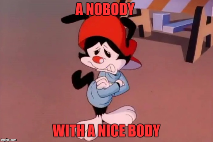 wakko | A NOBODY WITH A NICE BODY | image tagged in wakko | made w/ Imgflip meme maker