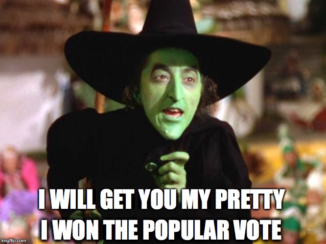 Wicked Witch | I WILL GET YOU MY PRETTY; I WON THE POPULAR VOTE | image tagged in wicked witch | made w/ Imgflip meme maker