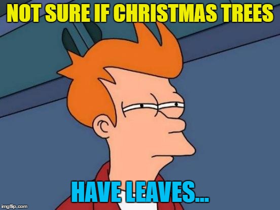 Futurama Fry Meme | NOT SURE IF CHRISTMAS TREES HAVE LEAVES... | image tagged in memes,futurama fry | made w/ Imgflip meme maker