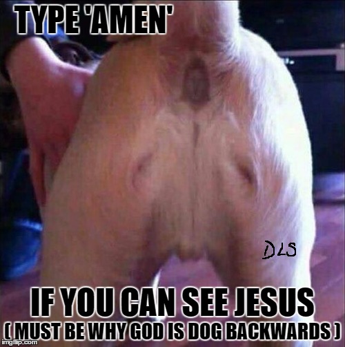 AMEN / DOGS ASS | TYPE 'AMEN'; IF YOU CAN SEE JESUS; ( MUST BE WHY GOD IS DOG BACKWARDS ) | image tagged in funny,religion,anti-religion,religious,jesus | made w/ Imgflip meme maker