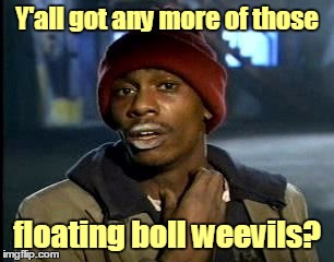 Y'all got any more of those floating boll weevils? | made w/ Imgflip meme maker