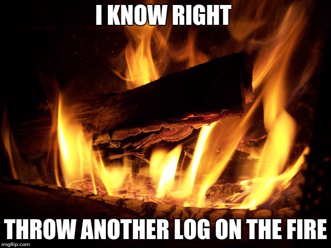 I KNOW RIGHT THROW ANOTHER LOG ON THE FIRE | made w/ Imgflip meme maker