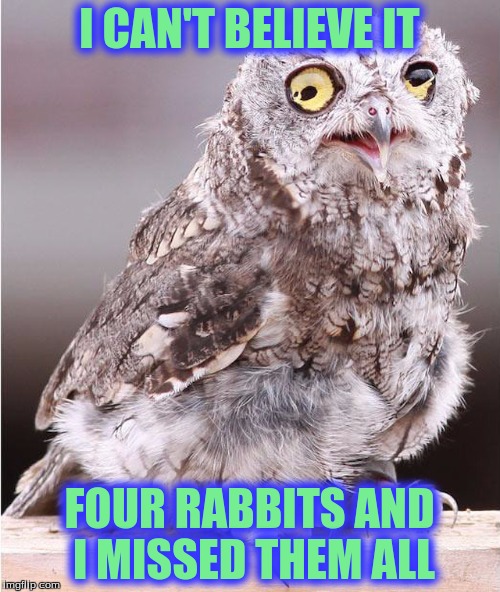 I CAN'T BELIEVE IT FOUR RABBITS AND I MISSED THEM ALL | made w/ Imgflip meme maker