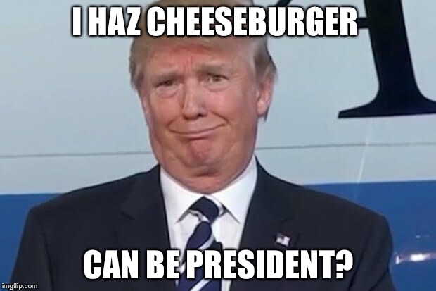Trumpycat |  I HAZ CHEESEBURGER; CAN BE PRESIDENT? | image tagged in donald trump | made w/ Imgflip meme maker