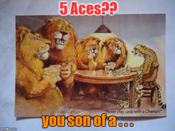 5 Aces?? you son of a . . . | made w/ Imgflip meme maker