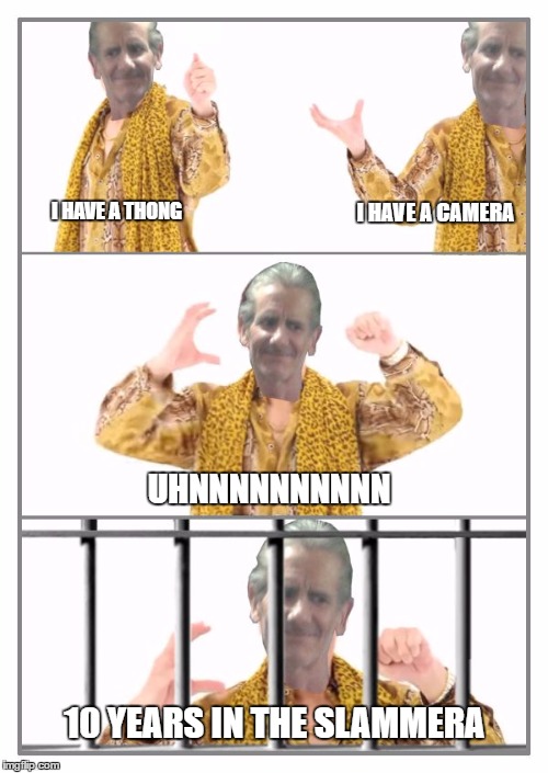 bye bye | I HAVE A CAMERA; I HAVE A THONG; UHNNNNNNNNNN; 10 YEARS IN THE SLAMMERA | image tagged in jeffrey in slammer,memes,ppap,goodbye jeffrey | made w/ Imgflip meme maker