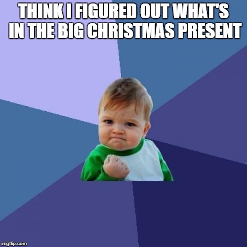 Success Kid | THINK I FIGURED OUT WHAT'S IN THE BIG CHRISTMAS PRESENT | image tagged in memes,success kid | made w/ Imgflip meme maker