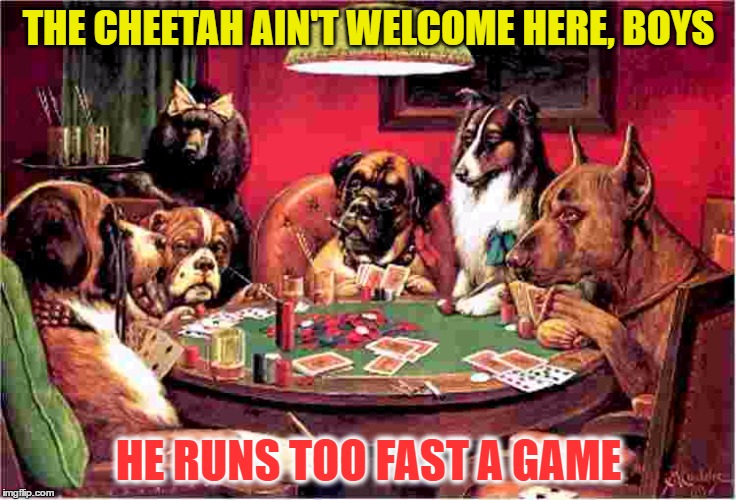 THE CHEETAH AIN'T WELCOME HERE, BOYS HE RUNS TOO FAST A GAME | made w/ Imgflip meme maker