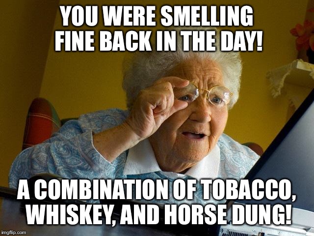Grandma Finds The Internet Meme | YOU WERE SMELLING FINE BACK IN THE DAY! A COMBINATION OF TOBACCO, WHISKEY, AND HORSE DUNG! | image tagged in memes,grandma finds the internet | made w/ Imgflip meme maker