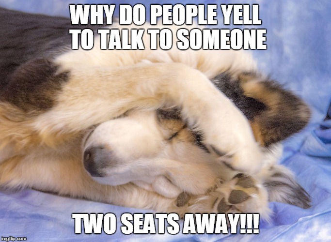 Stop the noises | WHY DO PEOPLE YELL TO TALK TO SOMEONE; TWO SEATS AWAY!!! | image tagged in stop the noises | made w/ Imgflip meme maker