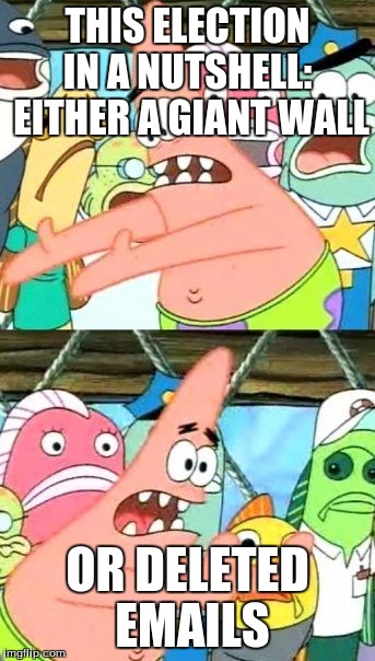 Put It Somewhere Else Patrick | THIS ELECTION IN A NUTSHELL:  EITHER A GIANT WALL; OR DELETED EMAILS | image tagged in memes,put it somewhere else patrick | made w/ Imgflip meme maker