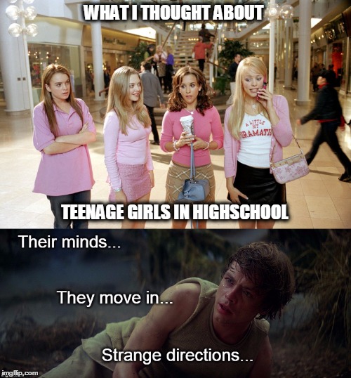 What I thought about Teenage girls in highschool | WHAT I THOUGHT ABOUT; TEENAGE GIRLS IN HIGHSCHOOL | image tagged in luke skywalker,immature highschoolers,dune,mind | made w/ Imgflip meme maker