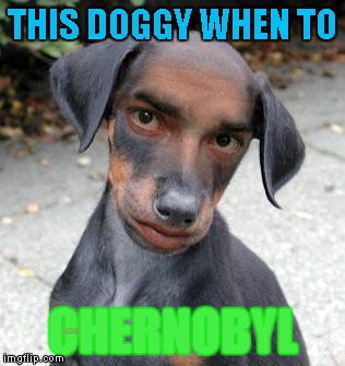 Dog Human | THIS DOGGY WHEN TO; CHERNOBYL | image tagged in dog human | made w/ Imgflip meme maker