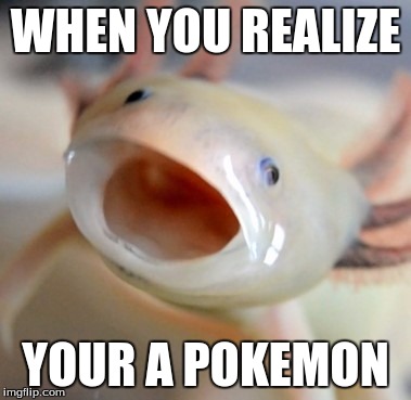 Axolotl  | WHEN YOU REALIZE; YOUR A POKEMON | image tagged in axolotl | made w/ Imgflip meme maker
