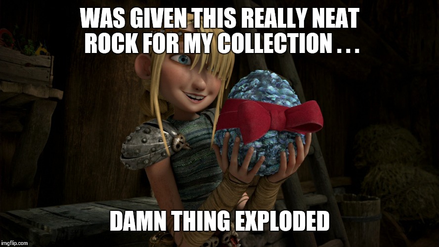 WAS GIVEN THIS REALLY NEAT ROCK FOR MY COLLECTION . . . DAMN THING EXPLODED | image tagged in how to train your dragon | made w/ Imgflip meme maker