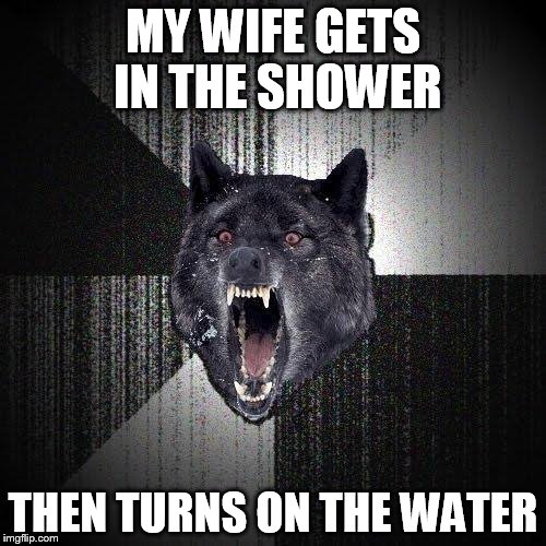 The water is extra cold in the winter | MY WIFE GETS IN THE SHOWER; THEN TURNS ON THE WATER | image tagged in memes,insanity wolf,wife,shower | made w/ Imgflip meme maker