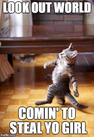 Cool Cat Stroll Meme | LOOK OUT WORLD; COMIN' TO STEAL YO GIRL | image tagged in cool cat stroll,cute cat,dating,lolcats | made w/ Imgflip meme maker