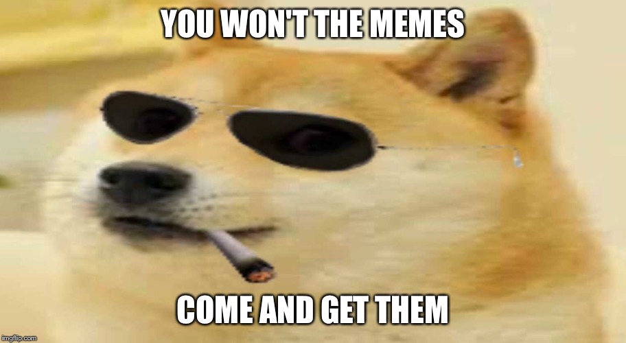 Dog | YOU WON'T THE MEMES; COME AND GET THEM | image tagged in funny | made w/ Imgflip meme maker