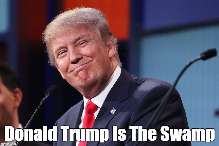Donald Trump Is The Swamp | Donald Trump Is The Swamp | image tagged in trump,corruption,swamp,drain the swamp | made w/ Imgflip meme maker